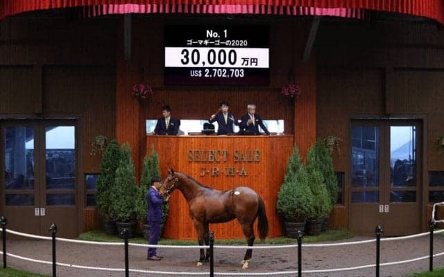 【セレクトセール2021】上場番号1番 ディープインパクト産駒が3億円！