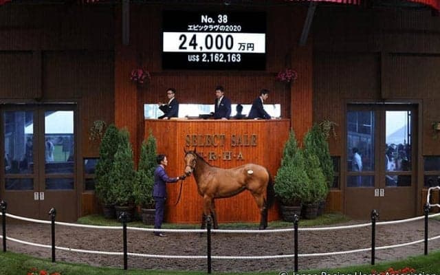 【セレクトセール2021】ロードカナロア産駒が2億4000万円で落札！ 昨年のホープフルS覇者ダノンザキッドの半弟