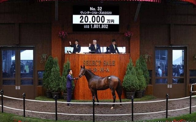 【セレクトセール2021】サイバーエージェントの藤田晋氏、エピファネイア産駒を2億円で落札