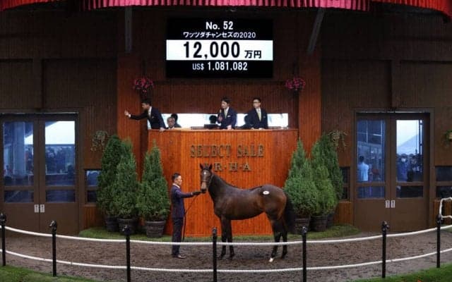 【セレクトセール2021】上場2頭目ディープインパクト産駒が1億2000万円