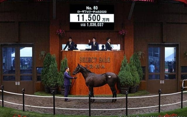 【セレクトセール2021】“華麗なるバラ一族”伯父にGI2勝馬の良血が1億1500万円で落札