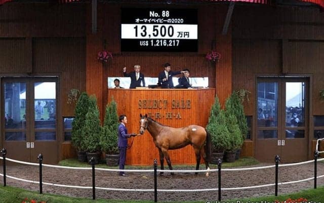 【セレクトセール2021】バゴ産駒、オーマイベイビーの2020が1億3500万円で落札　全兄にステラヴェローチェ