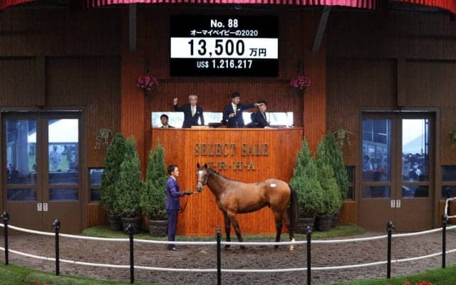 【セレクトセール2021】ステラヴェローチェ全弟が1億3500万円