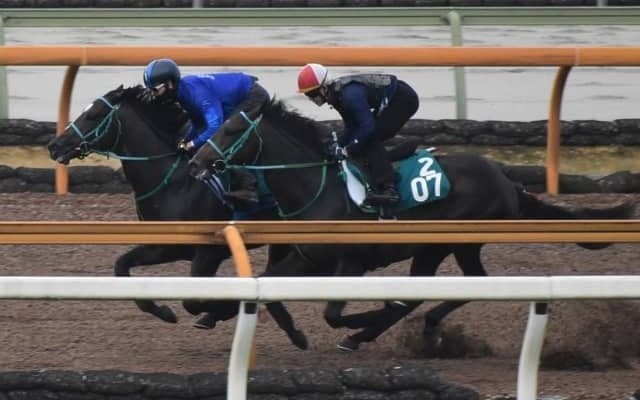 ベルラップ全弟グーデンドラークが松山弘平騎手でデビュー/関西馬メイクデビュー情報