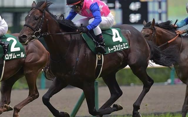 父は良血馬・キングズベスト　渋った馬場が追い風となったトーラスジェミニ