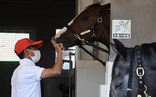 関わる人みんなが幸せになれる馬作り、人作り、厩舎作りを…四位調教師からのメッセージ
