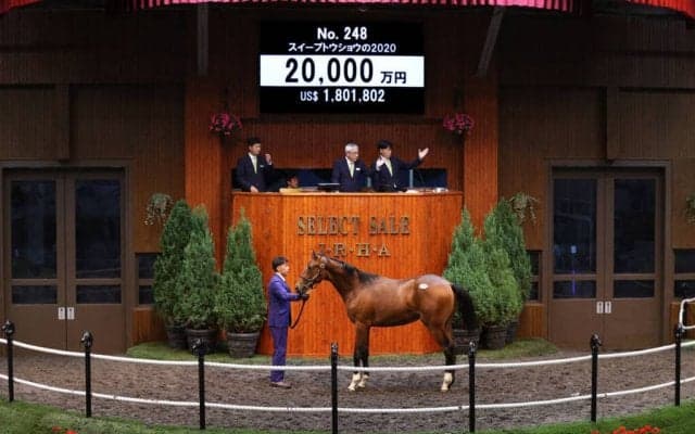 【セレクトセール2021】最後のディープインパクト産駒は2億円