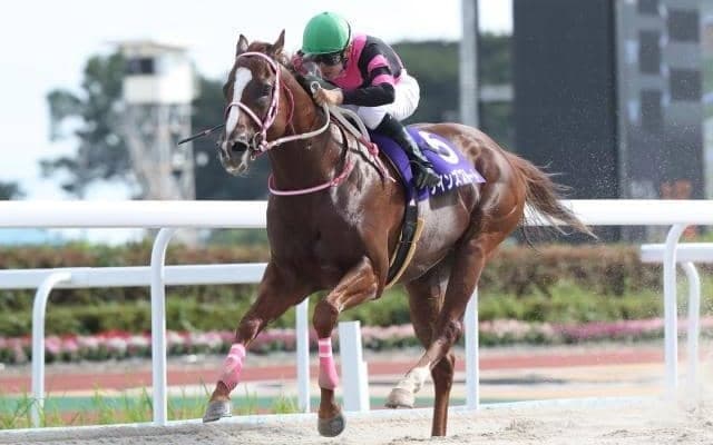 【門別競馬情報】オヤコダカ、スーパーステションに続く「2連覇」なるかクインズプルート。先行馬そろいスマートアヴァロンら差し馬勢の台頭注目「第18回星雲賞H3」/地方競馬情報