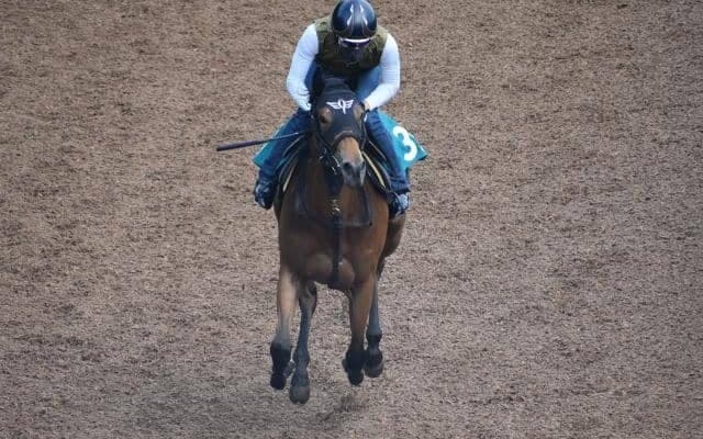 エーデルブルーメなど、先週のゲート試験/栗東トレセンニュース