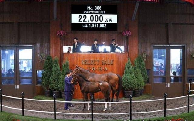 【セレクトセール2021】エピファネイア産駒が2億2000万円で落札　アルテリテの2021