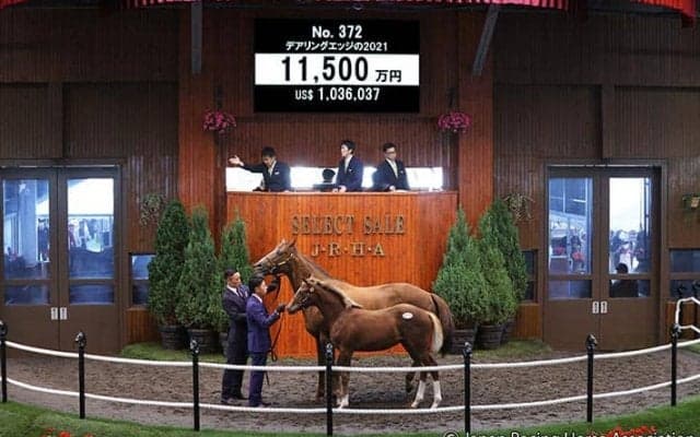 【セレクトセール2021】無敗3冠牝馬デアリングタクトと同血　デアリングエッジの2021が1億1500万円で落札