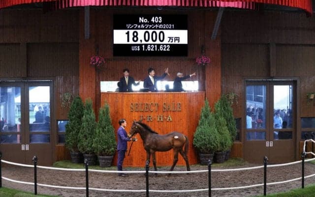【セレクトセール2021】レイデオロ産駒が1億8000万円