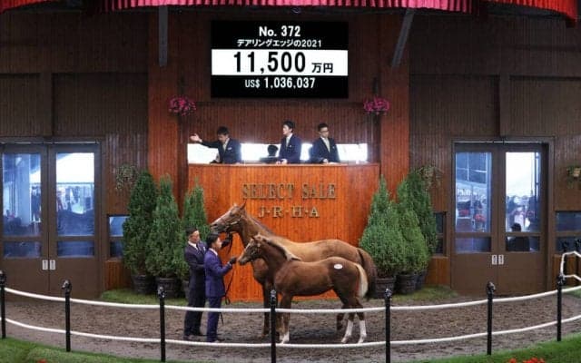 【セレクトセール2021】エピファネイア産駒が1億1500万円で落札