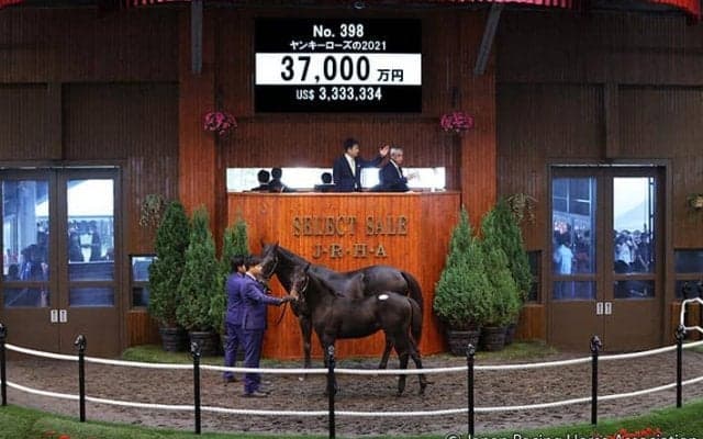 【セレクトセール2021】ロードカナロア産駒に3億7000万円　母は豪チャンピオン牝馬