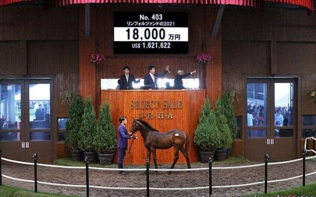 【セレクトセール2021】ショウナン国本氏、レイデオロの初年度産駒を1億8000万円で落札