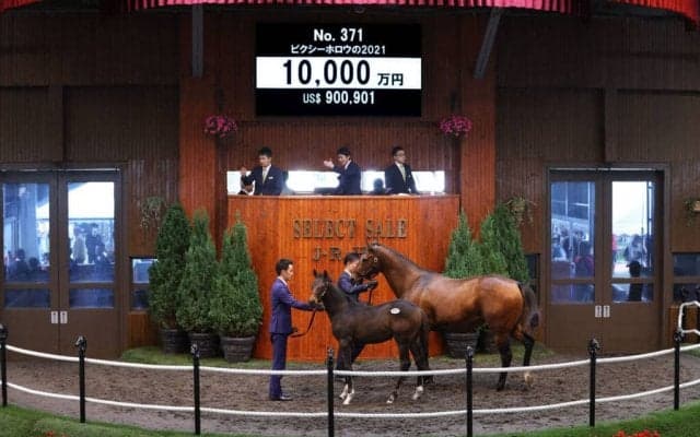 【セレクトセール2021】ピクシーナイト半弟が1億円