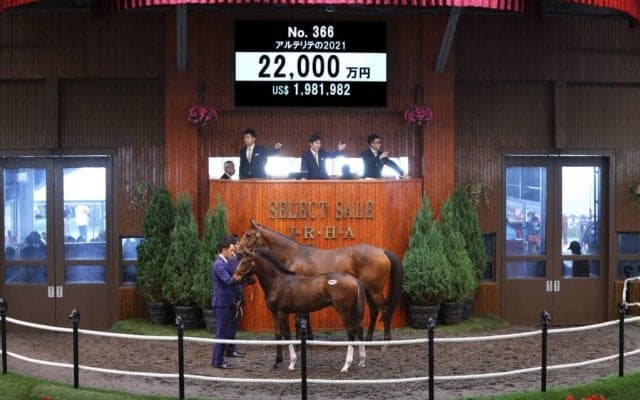 【セレクトセール2021】エピファネイア産駒が2億円超