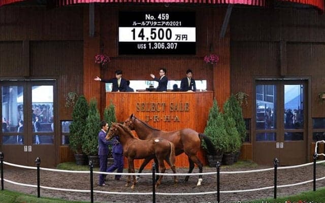 【セレクトセール2021】新種牡馬レイデオロ産駒が1億4500万円で落札！  おばに15年2冠牝馬ミッキークイーン