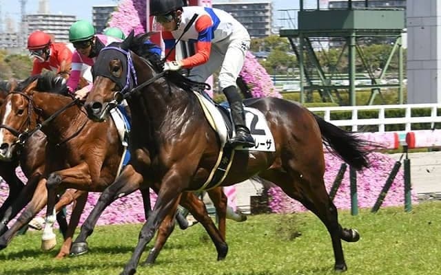 地方他地区馬の参戦ゼロに…波乱の匂い漂うジャパンダートダービー