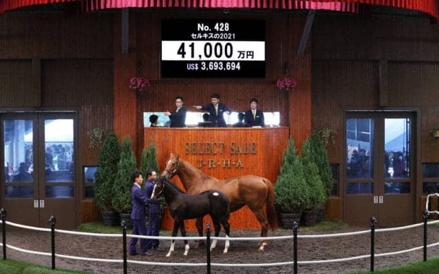 【セレクトセール2021】当歳馬セリも好調！史上最高の売上げを記録