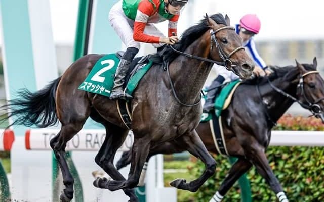 【ジャパンダートダービー予想】今夜発走3歳ダートの頂上決戦！ 上位混戦の中でAI指名の激走注目馬は/GI展望