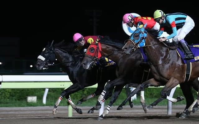 【大井・JDD】12番人気での逃走V　キャッスルトップ仲野光馬騎手「自分が無駄なことをせず、馬の力を信じて乗ることだけを考えていました」