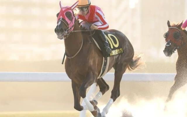 【盛岡・マーキュリーC出走予定馬】マスターフェンサー、ヒストリーメイカーら