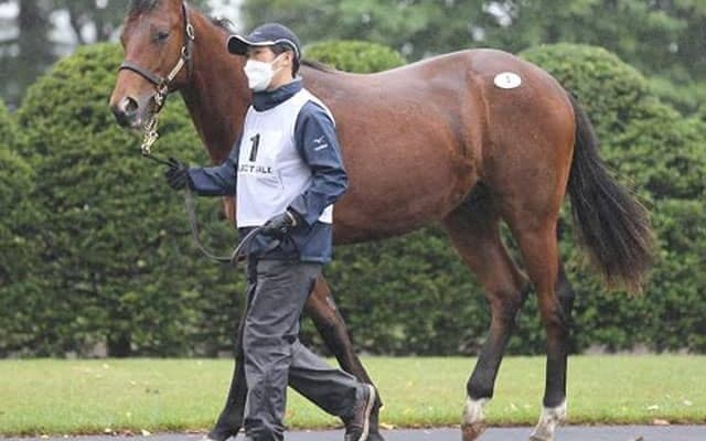 初日だけで1億円超の落札馬が28頭も！ 総売り上げは史上最高額になったセレクトセール
