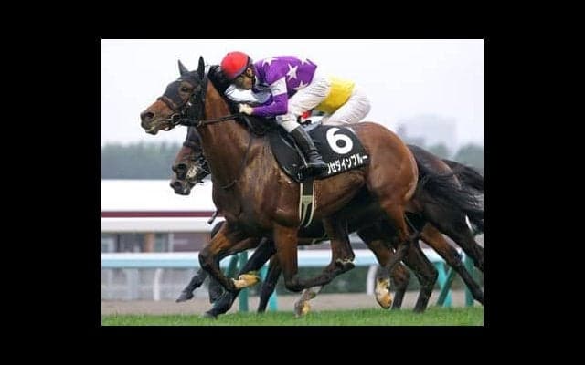 今年も函館記念は波乱の予感。人気薄になりそうな馬から激走期待の２頭に注目