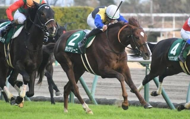 【中京記念枠順確定】ボッケリーニは7枠9番、カテドラルは6枠8番