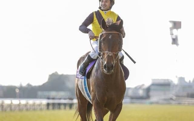 【函館記念枠順確定】カフェファラオは1枠1番、マイネルウィルトスは5枠10番