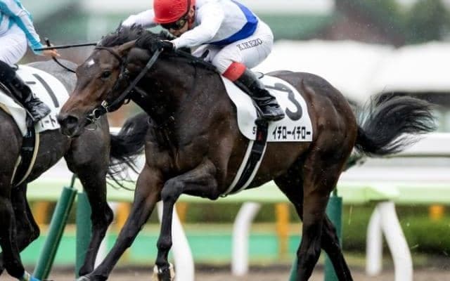 【本日の注目ポイント】2歳世代初のJRA重賞・函館2歳S、福島でリステッドのジュライSなど