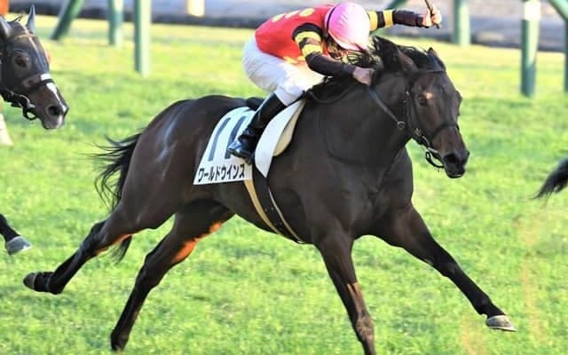 【函館記念予想】ポテンシャルはGII級！ 人気の盲点のいま狙うべき巻返し馬/JRA重賞レース展望