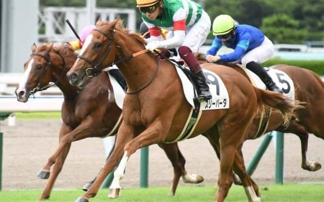 【小倉6R新馬戦結果】またまた福永祐一！シンハライトの半妹スリーパーダがデビュー勝ち