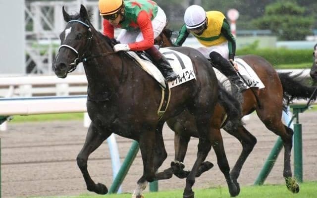 【小倉5R新馬戦結果】シゲルイワイザケが人気に応えて快勝