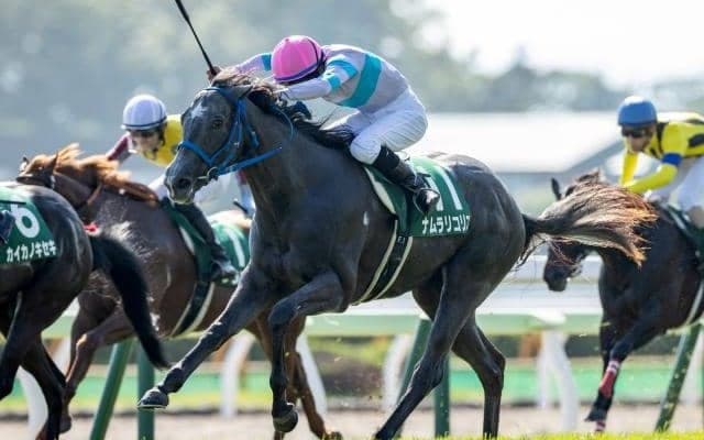 【函館2歳S結果】ナムラリコリスが差し切りV　泉谷楓真騎手がJRA重賞初制覇