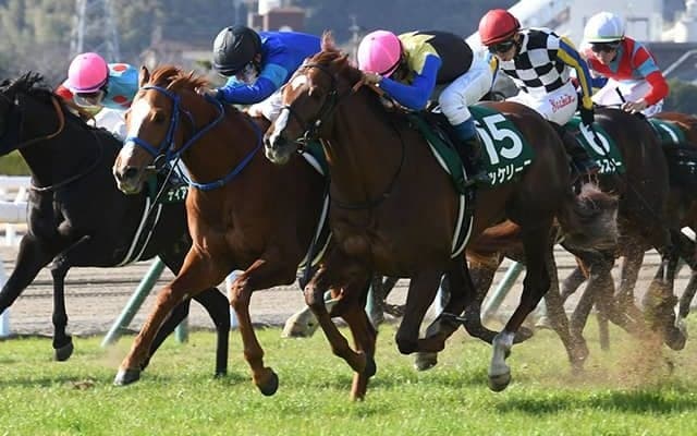 【中京記念予想】蓄えてきた実力は夏の小倉で花開く!? 実績ある良血馬に注目