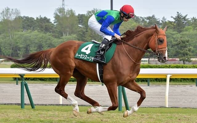 【函館記念予想】怖いのは久々に実力を発揮できそうな穴人気の実績馬