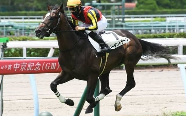 【小倉5R新馬戦結果】グーデンドラークが2番手から抜け出し快勝