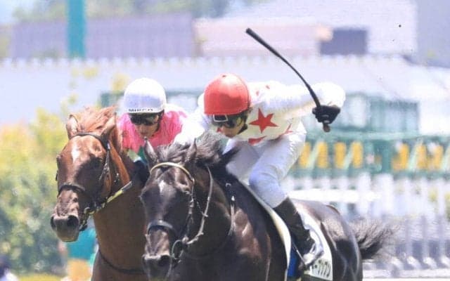 【新馬/福島5R】ハービンジャー産駒 ミッキーブンブンがデビューV