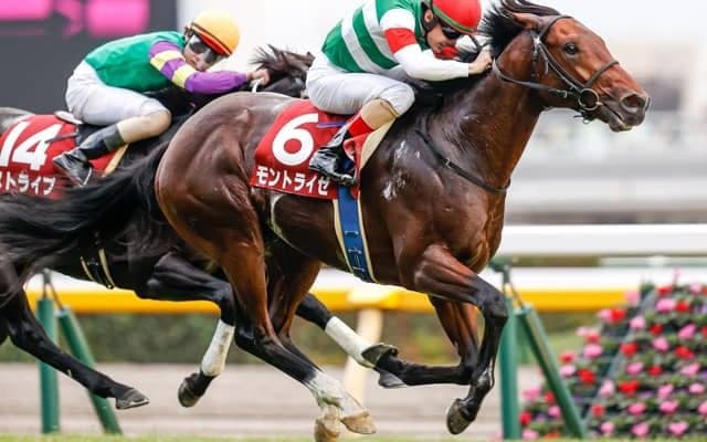 【アイビスSD予想】人気同士では決まらない AIの本命候補は人気でも状態、血統ベストのGII馬/JRA重賞レース展望