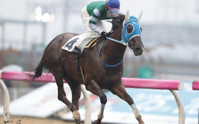 【門別競馬情報】“濃霧順延”が味方するのは？ 2連覇狙う地元クオリティスタート、-11キロだった15日から馬体回復なら川崎コーラルツッキー好勝負も「第20回ノースクイーンカップH2」/地方競馬情報