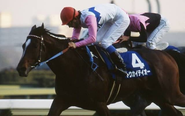 最後のトウカイテイオー産駒キセキノテイオーが7歳でデビューへ