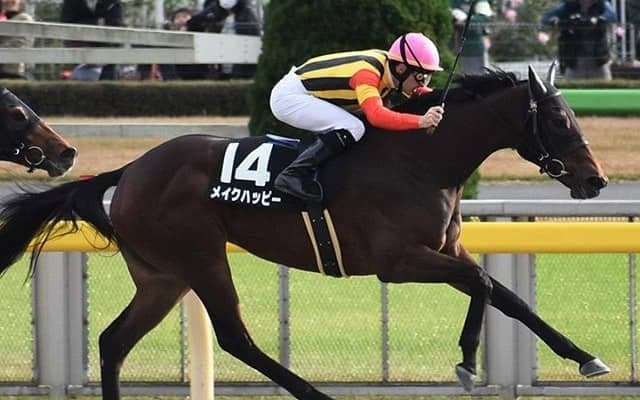 【先週のJRA抹消馬】スパーキングレディーC2着のメイクハッピー、アイスバブルの全妹レースガーデンなど