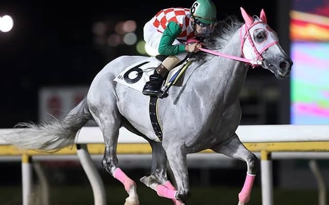 【船橋・ひまわり賞結果】1番人気の古豪リッカルドが1年7か月ぶりの勝利