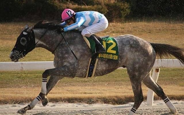 【マーキュリーC・馬体重】バンクオブクラウズは523kg(+9)、マスターフェンサーは498kg(0)