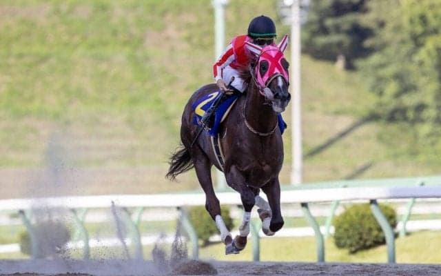 【マーキュリーC】マスターフェンサーが2連覇！