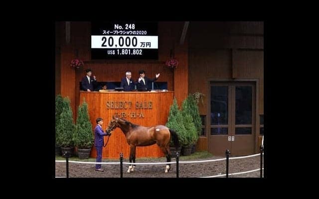 種牡馬の「ポスト・ディープインパクト」候補は？　関係者５人に聞いたベスト３