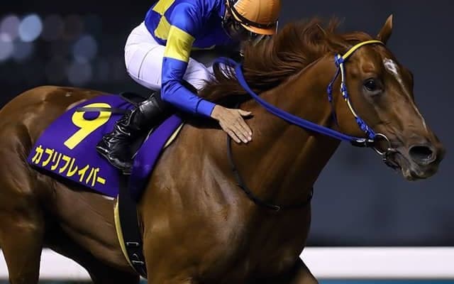 【習志野きらっとスプリント】カプリフレイバーが出走取消