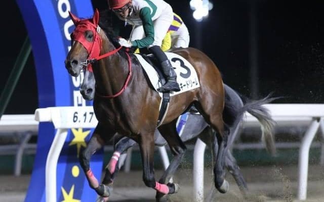 【門別競馬情報】2年ぶり史上6頭目「三冠馬」誕生なるかラッキードリーム！三冠すべて僚馬リーチとワンツー決着の快挙も「第42回王冠賞H2」/地方競馬情報